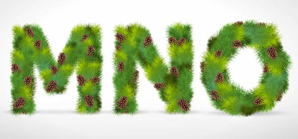 free vector Pine form letters 02 vector